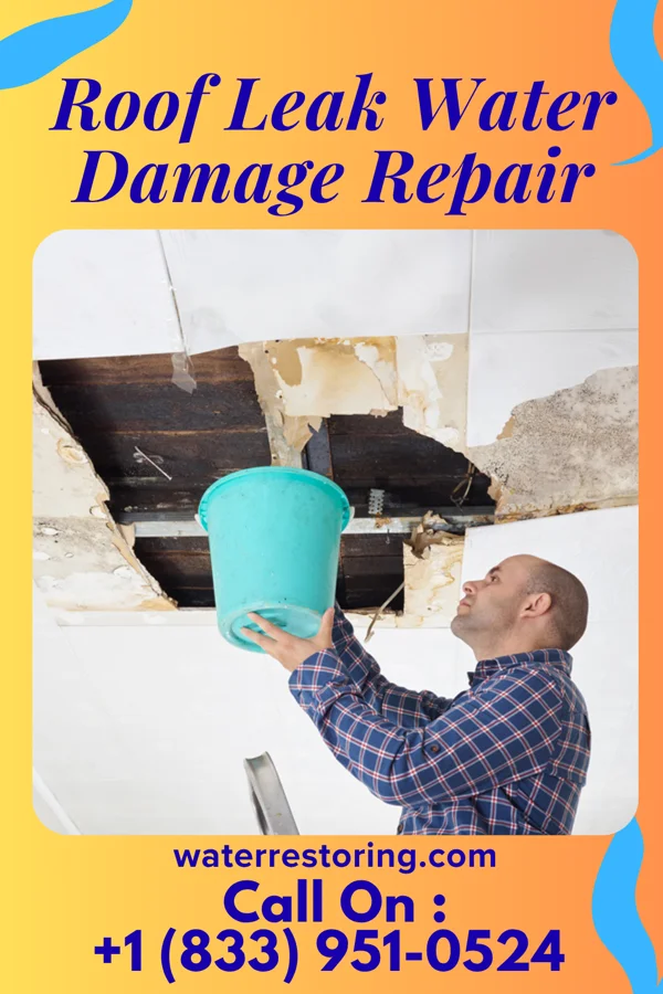 Roof Leak Water Damage Repair in St. Anthony, IA