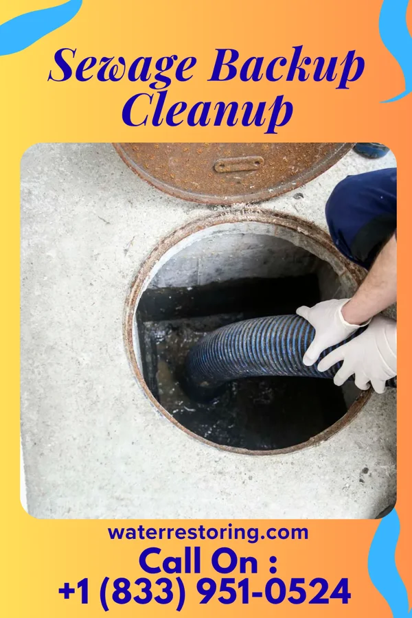 Sewage Backup Cleanup in St. Anthony, IA